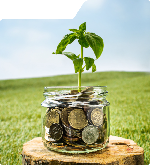 Mutual Fund Wala